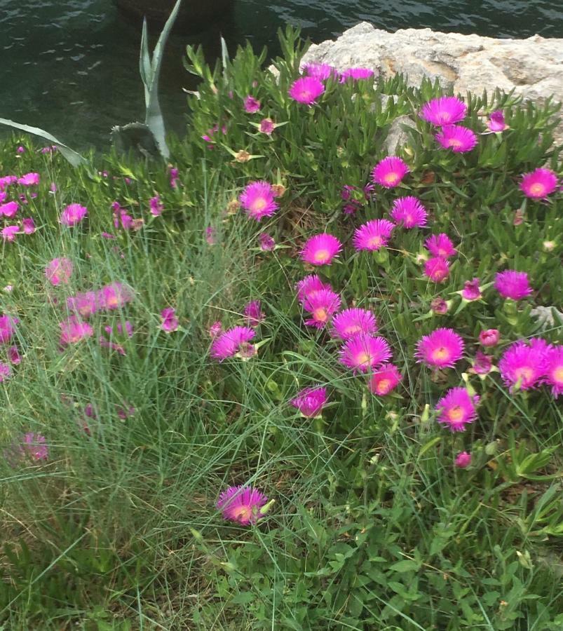 Guesthouse Antonija Veli Lošinj Kültér fotó